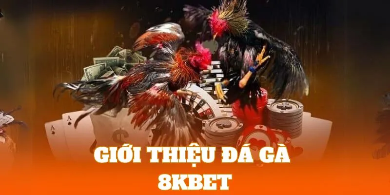 Khám phá sảnh cược gà đá trực tuyến hấp dẫn