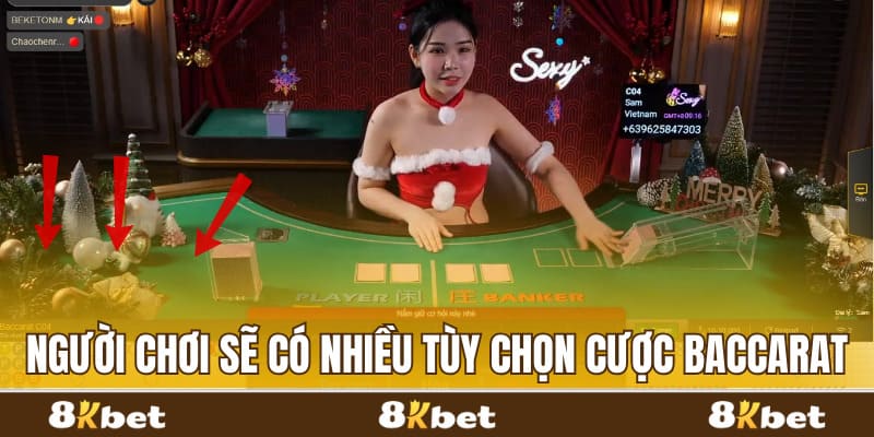 Người chơi sẽ có nhiều tùy chọn cược Baccarat