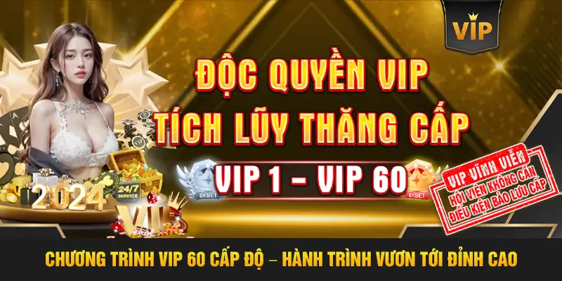 chương trình vip 60 cấp độ - Hành trình vươn tới đỉnh cao